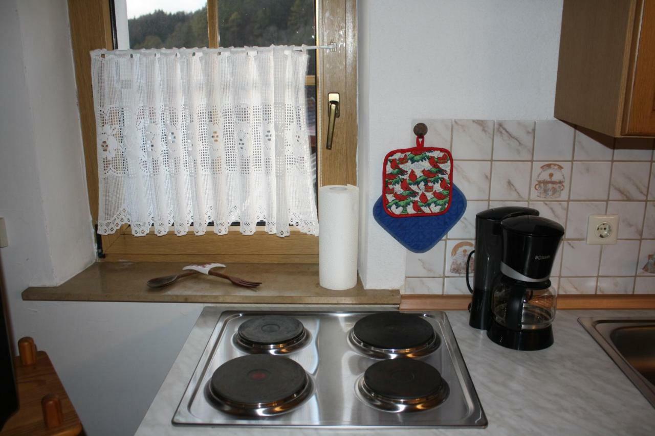 Ferienwohnung Eva Und Alexander Hirschbach  Ngoại thất bức ảnh